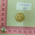 CTM6263