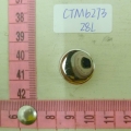 CTM6273