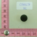 CTM6274