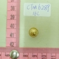 CTM6289