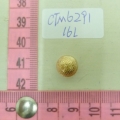 CTM6291