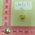 CTM6295