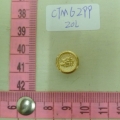 CTM6299