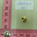 CTM6301