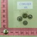 CTM6303