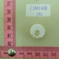 CTM6306