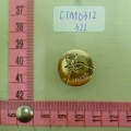 CTM6312