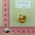 CTM6313
