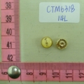 CTM6318