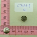 CTM6319