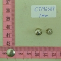 CTM6389