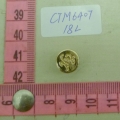 CTM6407