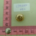 CTM6410