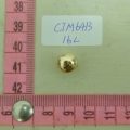 CTM6413