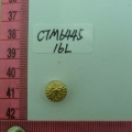CTM6445