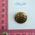 CTM6534