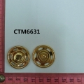 CTM6631