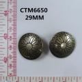 CTM6650