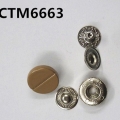 CTM6663