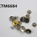 CTM6684