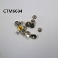 CTM6684