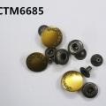 CTM6685