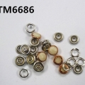 CTM6686