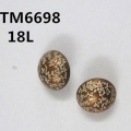 CTM6698