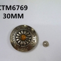 CTM6769