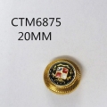 CTM6875