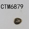 CTM6879