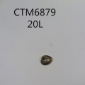 CTM6879