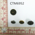 CTM6952