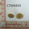 CTM6959