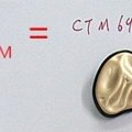 CTM6994 CTM6995
