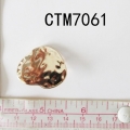 CTM7061
