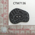 CTM7136