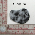 CTM7137