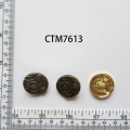CTM7613