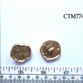 CTM7746