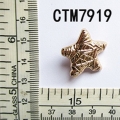 CTM7919