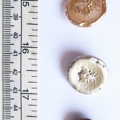 CTM7943