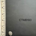 CTM8160