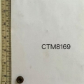 CTM8169