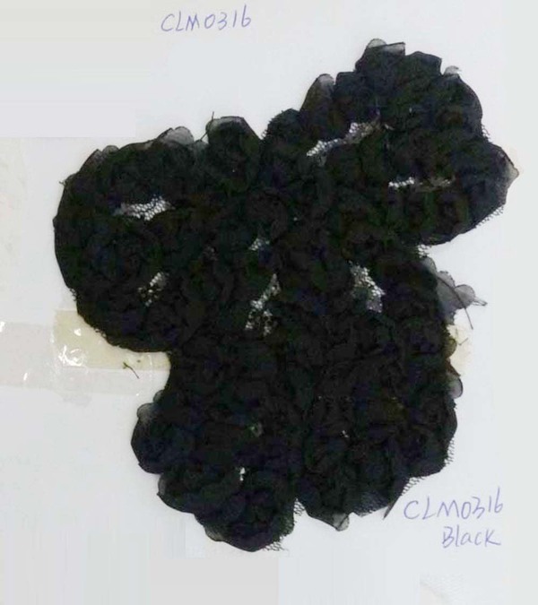 CLM0316