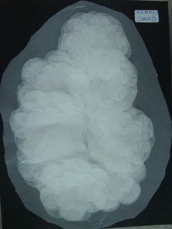 CLM0496