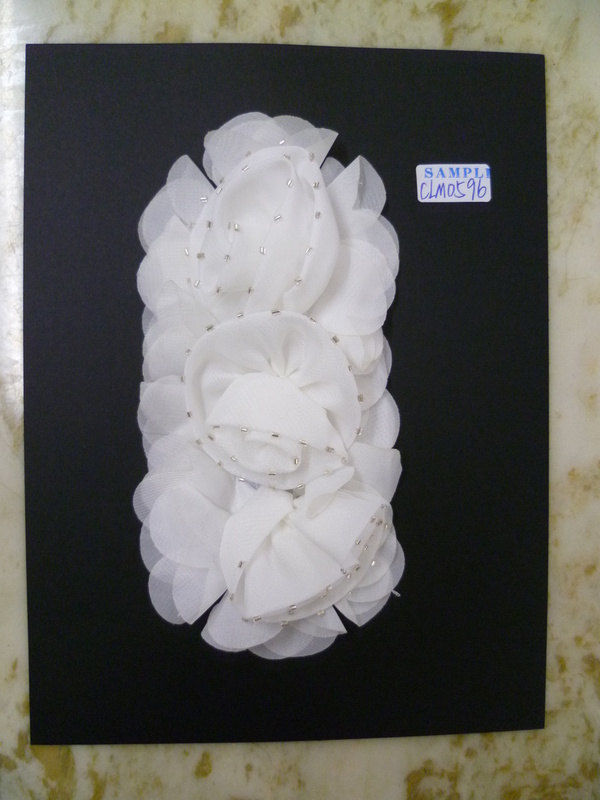 CLM0596