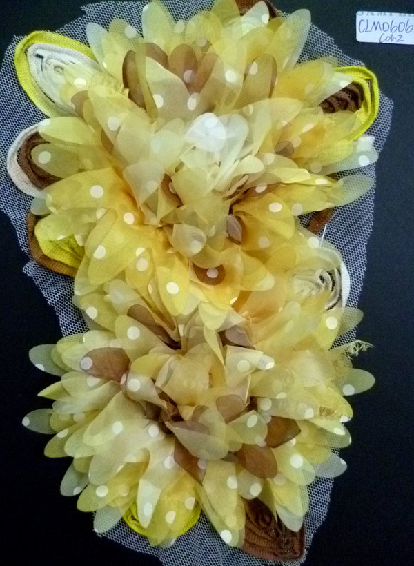 CLM0606