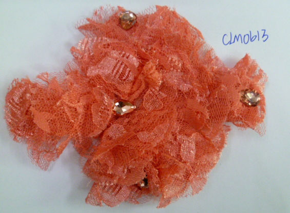 CLM0613