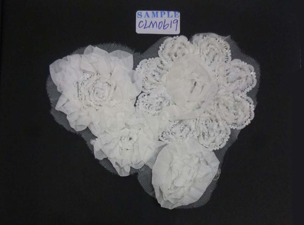 CLM0619
